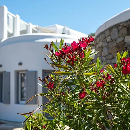 Villa 9 Muses Mykonos *