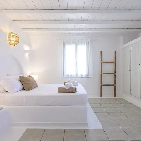 别墅 9 Muses Mykonos 奥诺斯